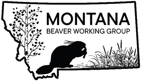 Montana Beaver Working Group logo.