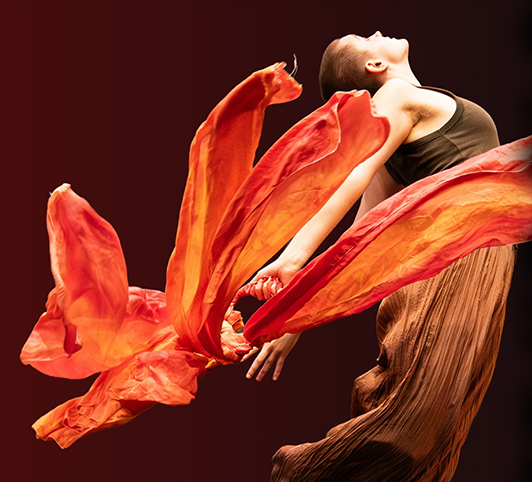 DANCE UP CLOSE poster image