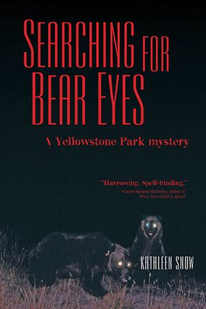 Searching for Bear Eyes Cover