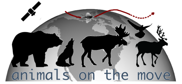 animals on the move