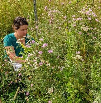 Dr. Zettlemoyer in the field