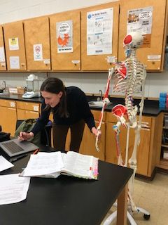 anatomy