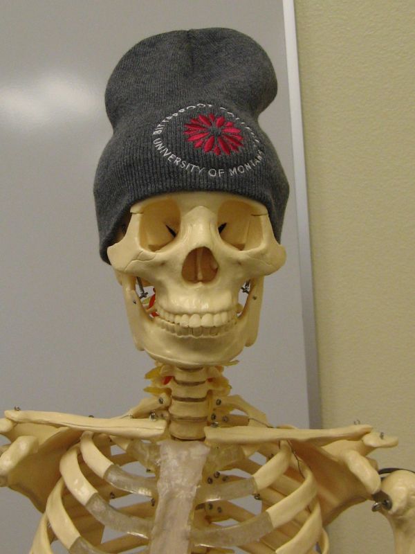 mr. bones