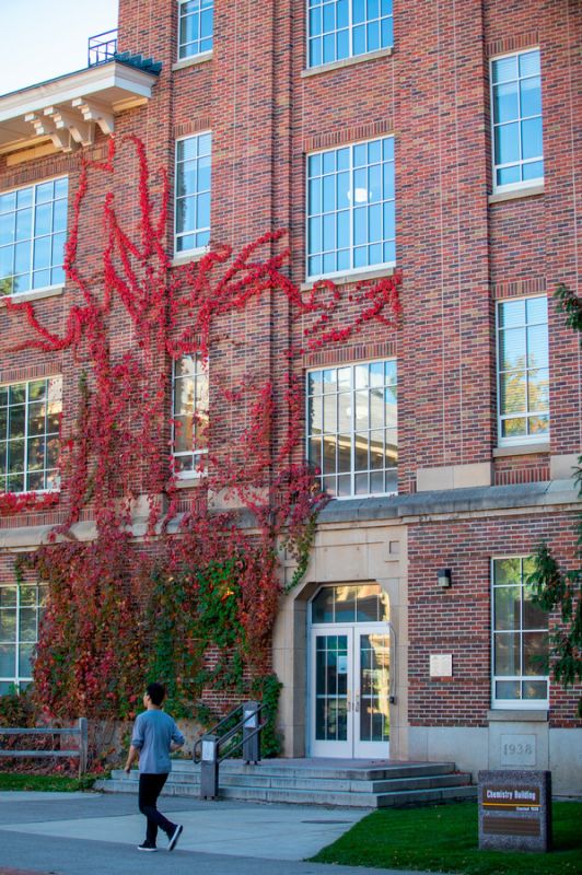 Skaggs Building on UM Campus