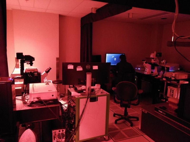Zeiss 880 and MicroTime 200
