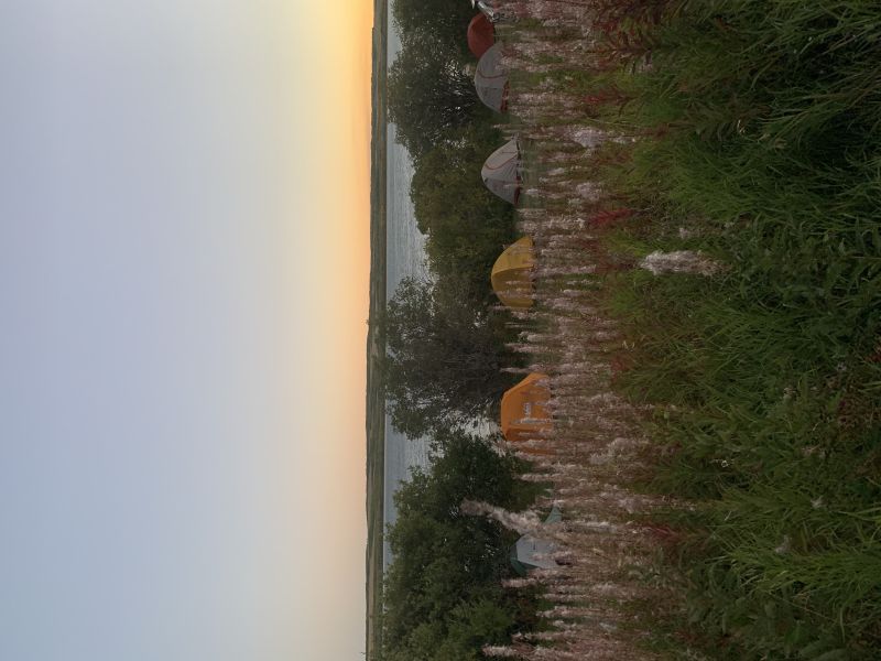 beautiful landscape