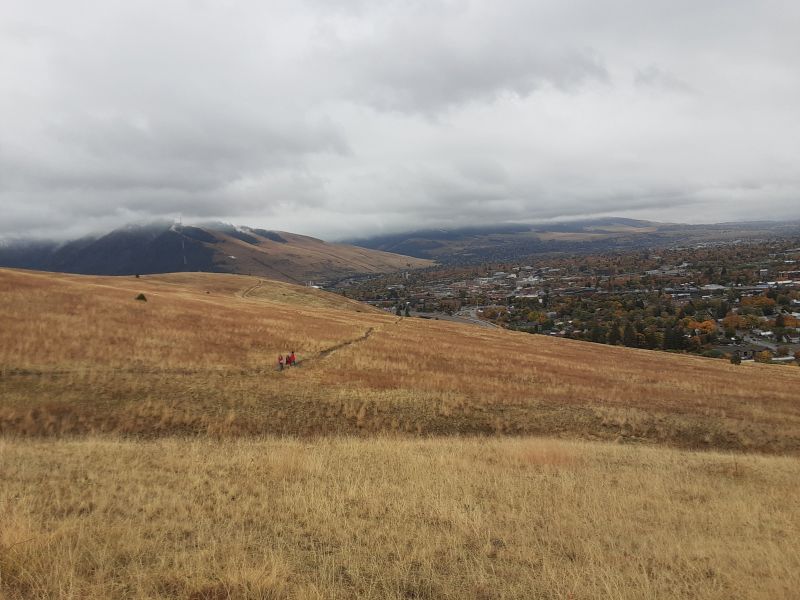 Landscape near Homestead