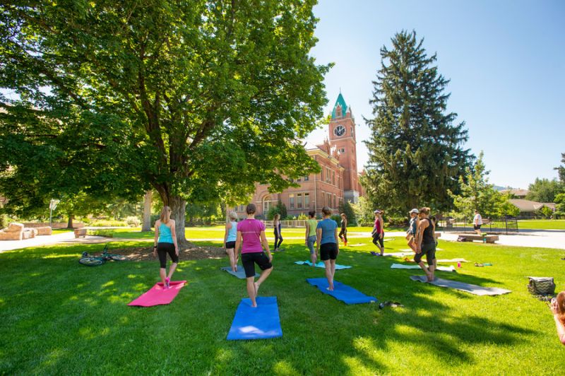 Group of people practicing yoga on the UM oval on colorful mats under a large tree with a building and University Hall in the background