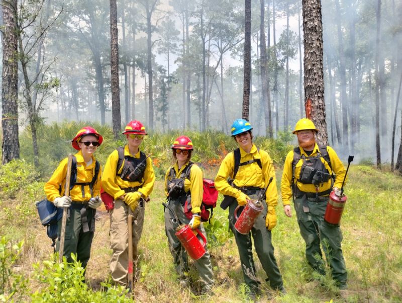 A team of five equipped firefighters standing side by side in the woods