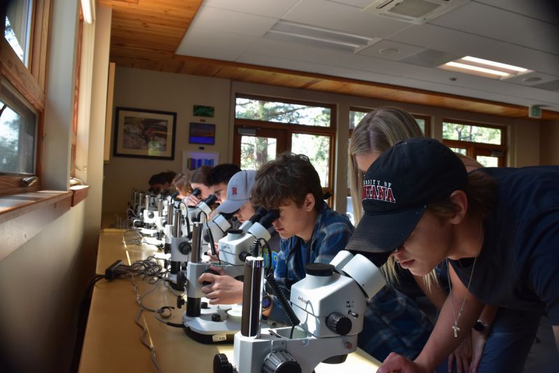Schwanke participants using microscopes