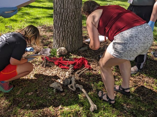 students closely observe plastic skeleton on grass with torn shirt