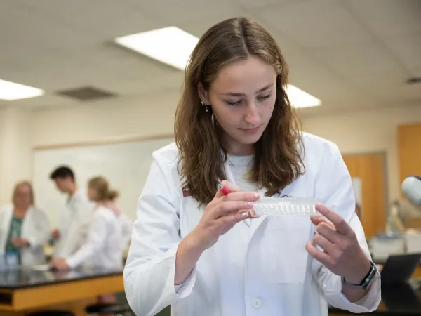 A UM student examines a sample tray during a Pharmacy Lab at the University of Montana.