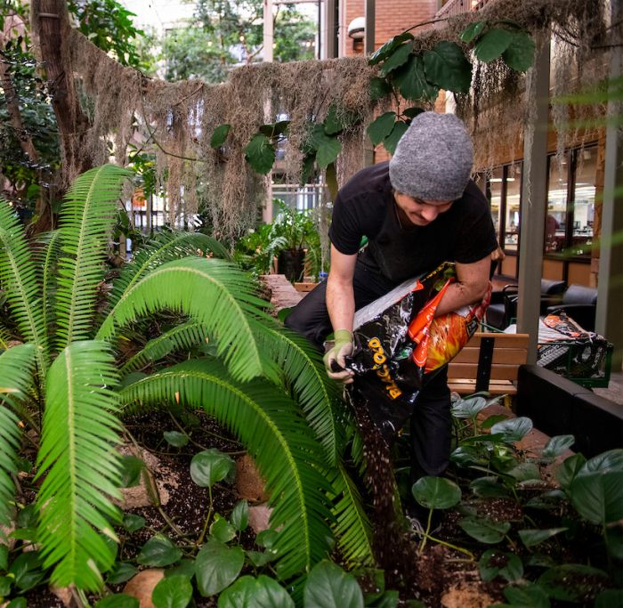 Jacob Tutty in the UC gardens