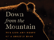 down from the mountain book cover