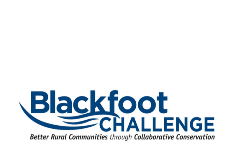 Logo for Blackfoot Challenge