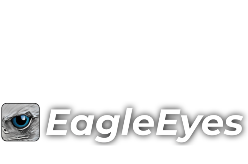 Logo for Eagle Eyes Search and Rescue