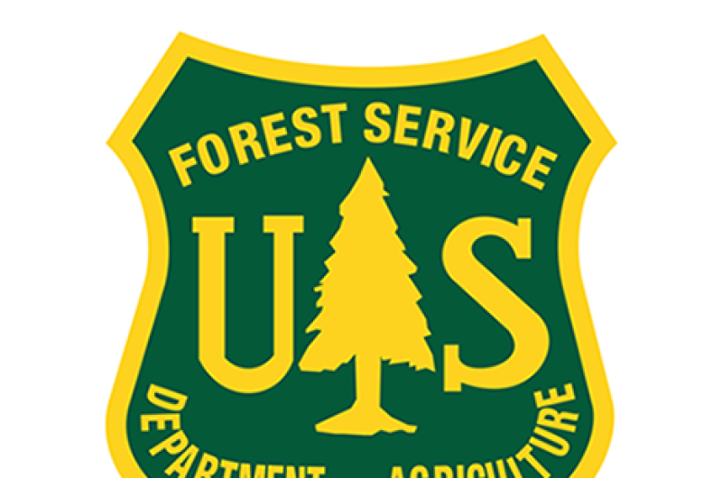 Logo for the Forest Service