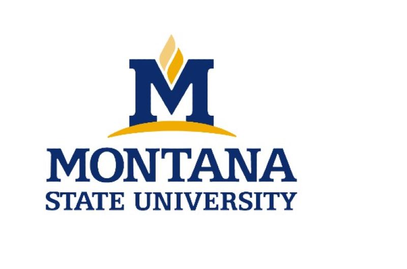 Logo for Montana State University