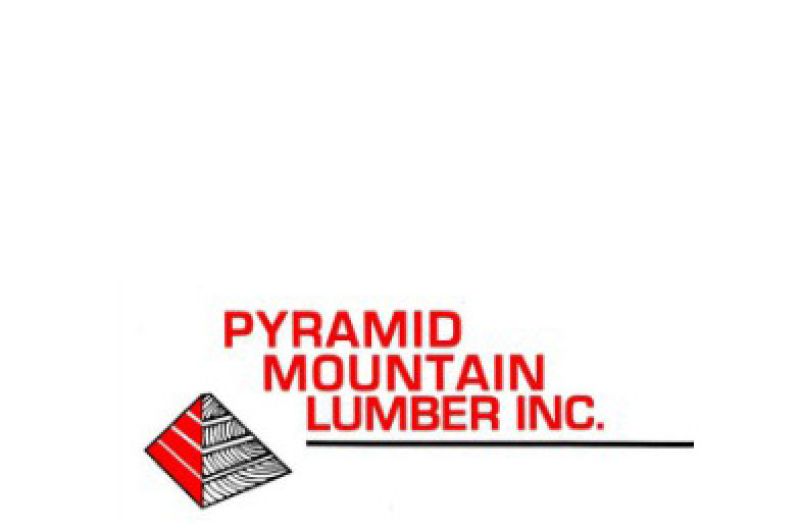 Logo for Pyramid Mountain Logo