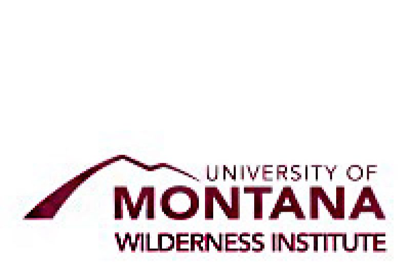 Logo for UM's Wilderness Institute