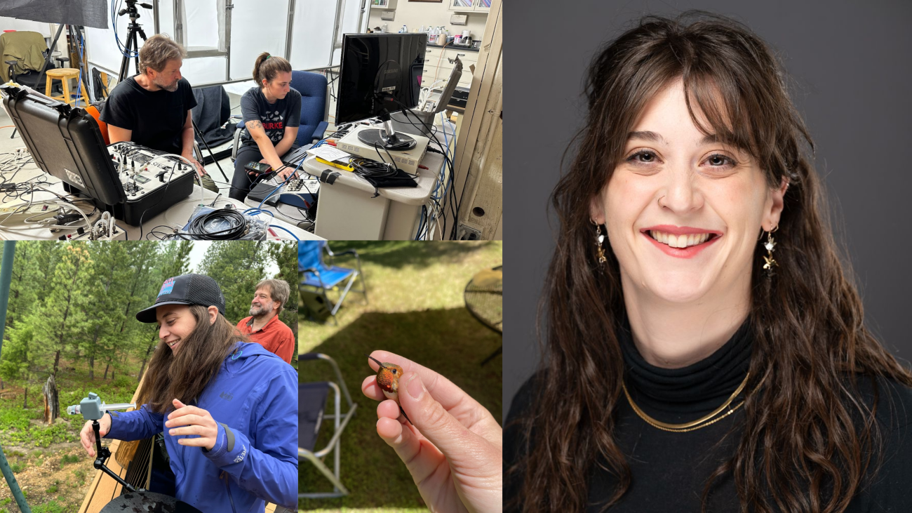 A four panel photo showcasing Rosalee's field and lab work. One photo includes a tiny hummingbird.