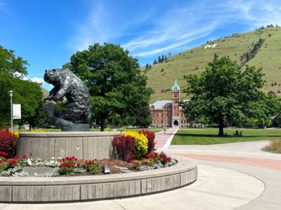 UM Grizzly Bear Statue