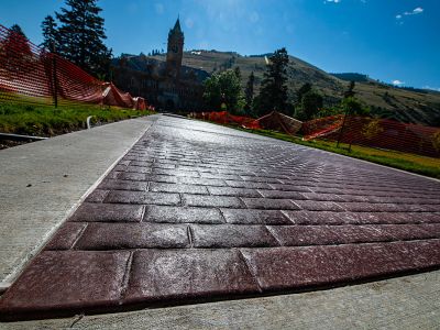 bricks on the Oval