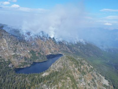 Image of a forest fire