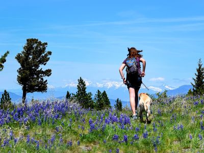 A woman hikes with her dog in the mountains of Montana.