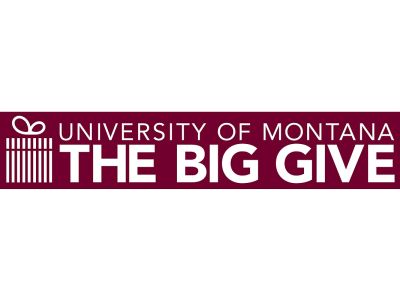 The Big Give logo