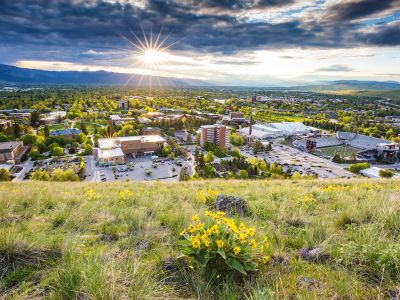 This is a default image of the view of Missoula from Mount Sentinel with flowers in the foreground 