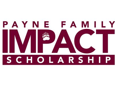 The Payne Family Impact Scholarship word logo