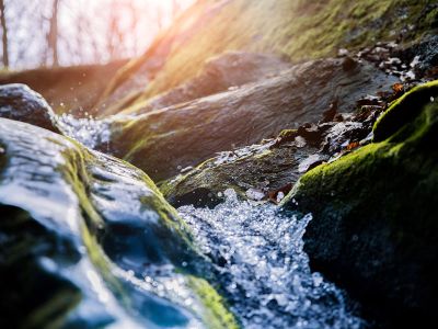 Water flows in a small stream.