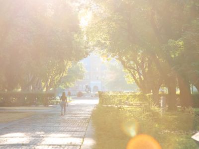 The UM campus in sunlight 