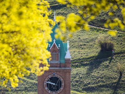 A spring picture of Main Hall with someone walking down the M Trail behind the clocktower.