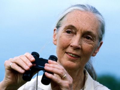 Photo of Jane Goodall