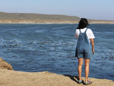 Izabela Garcia-Arce, a UM graduate student in Environmental Studies, looks out over the Pacific from a volcano near San Quintin, Baja California.