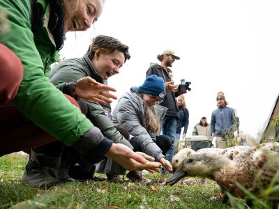 UM students feed ducks