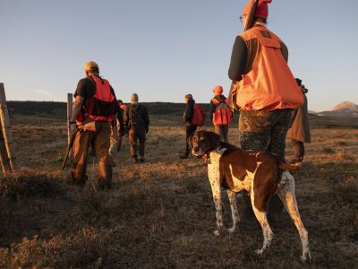 Photo of students upland bird hunting