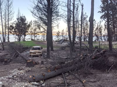 A picture of landscape and a car blackened by a fire.