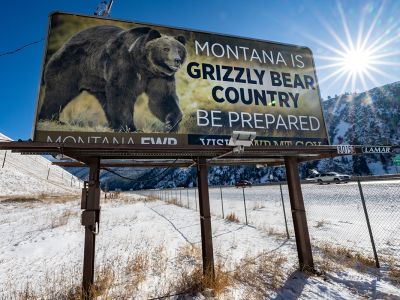Billboard reminding Montanans about grizzly bears