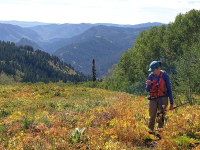 Jamie Peeler works in a high meadow with mountains behind and below her.