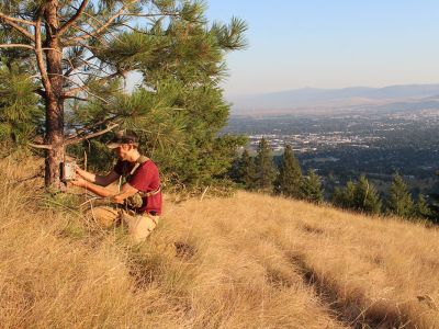 Postdoctoral researcher Chris Hansen installs a trail camera in the high country above Missoula