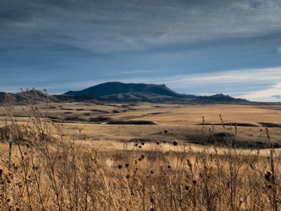 Grasses blow in front of a landscape in Box Elder.