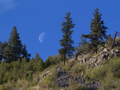 A day moon rises into blue sky over Mount Sentinel near campus