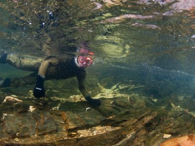 UM student Jacob Steinle snorkels Rattlesnake Creek near Missoula.