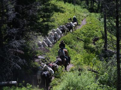 A photo of a pack train