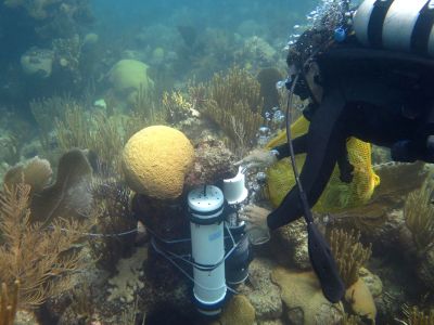 A diver installs a device on a coral reef.