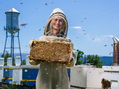 An image of Tamila Morgan in a beekeeping suit and holding a tray of bees out at the UM apiary. 