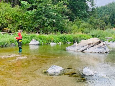 A researcher stands in a river.